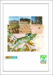 The_Land_Resources_of_Pine_Hill_Station,_Northern_Territory.pdf.jpg